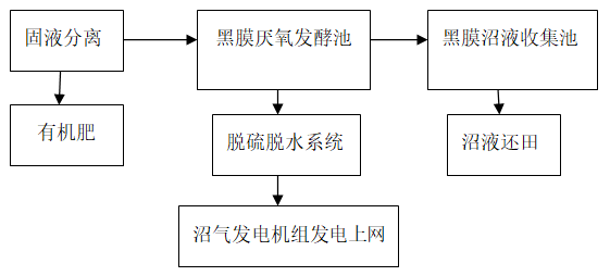 农村粪污沼气发电