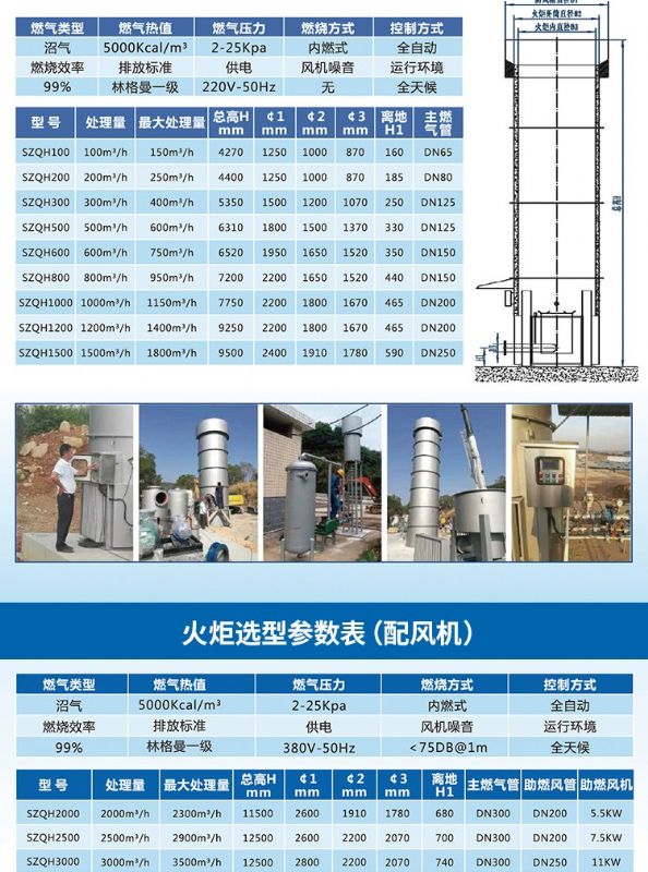 封闭式沼气火炬