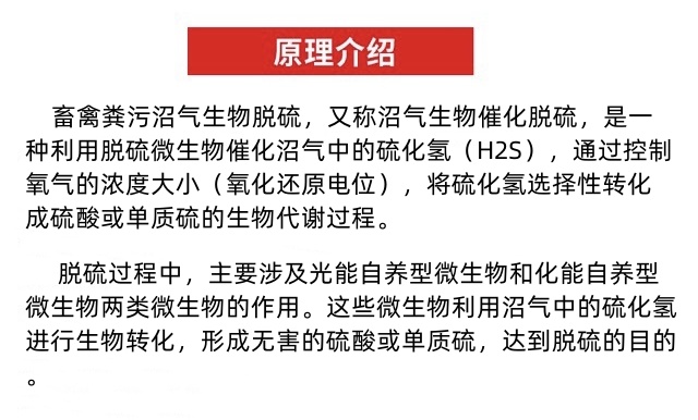 山东诚星新能源科技有限公司