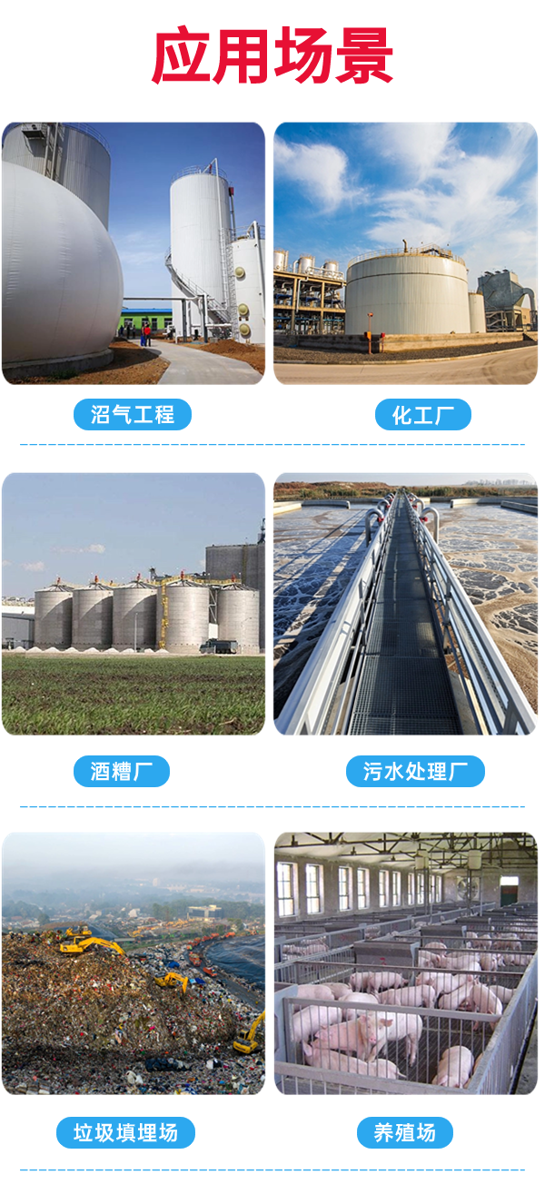 山东诚星新能源科技有限公司
