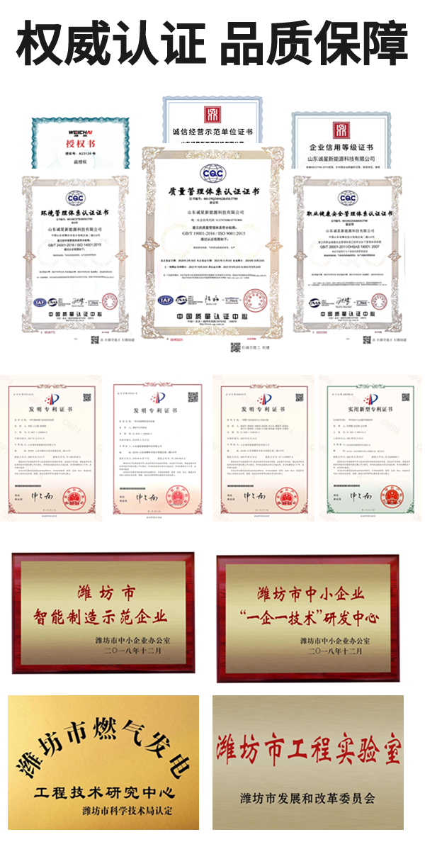 山东诚星新能源科技有限公司